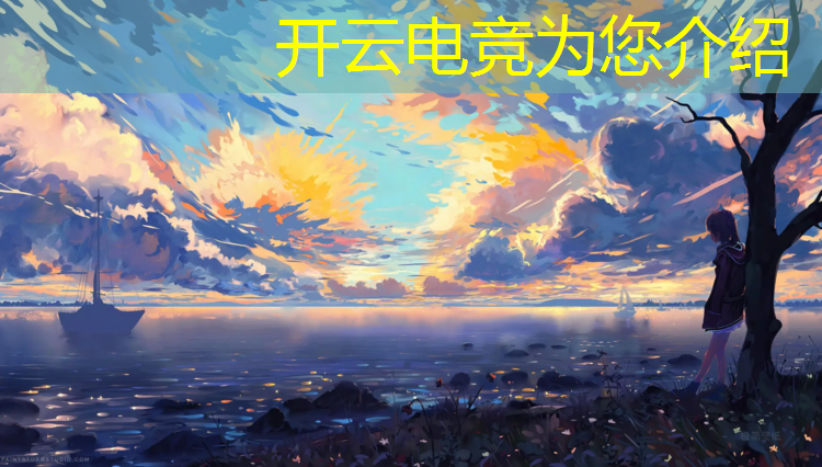 开云电竞为您介绍：固原电竞专业价位表图