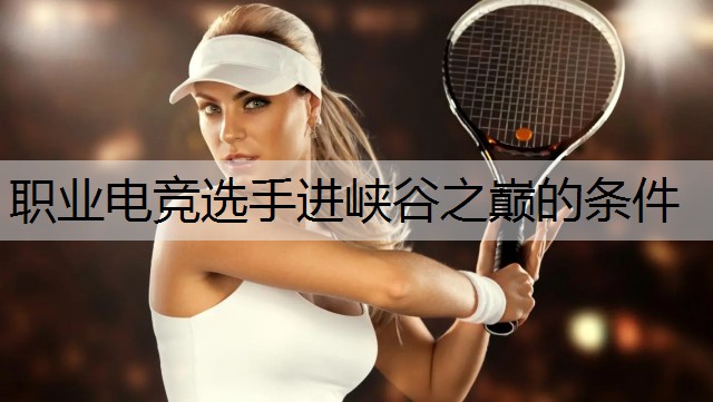 职业电竞选手进峡谷之巅的条件