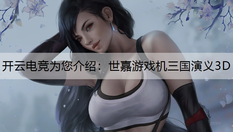 世嘉游戏机三国演义3D