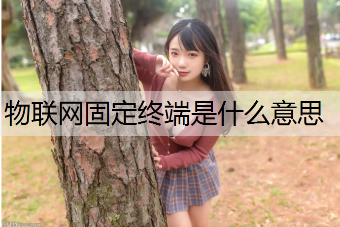 物联网固定终端是什么意思